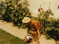 In the garden