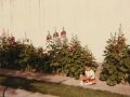 Me by the wall